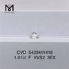 1.01ct 실험실에서 생산된 다이아몬드 가격 F VVS2 3EX 실험실에서 제작한 느슨한 배양 다이아몬드 판매용