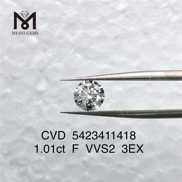 VVS2 연구소에서 다이아몬드를 만들었습니다.