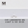 2.54CT G VS1 MQ igi cert 다이아몬드 CVD 판매 중 LG605363720丨Messigems 
