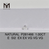 1.00CT E SI2 EX EX VG VG VG 천연 다이아몬드 도매 P281466 대량 구매 소스丨Messigems