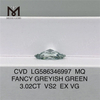 3ct 다이아몬드 그린 VS2 EX VG CVD MQ 팬시 그레이쉬 그린 VS2 EX VG CVD LG586346997 