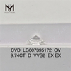 9.74CT D VVS2 OV 대형 실험실 제작 다이아몬드 CVD LG607395172丨Messigems